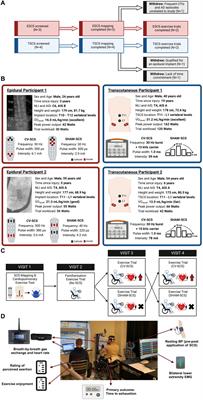 Ergogenic effects of spinal cord stimulation on exercise performance following spinal cord injury